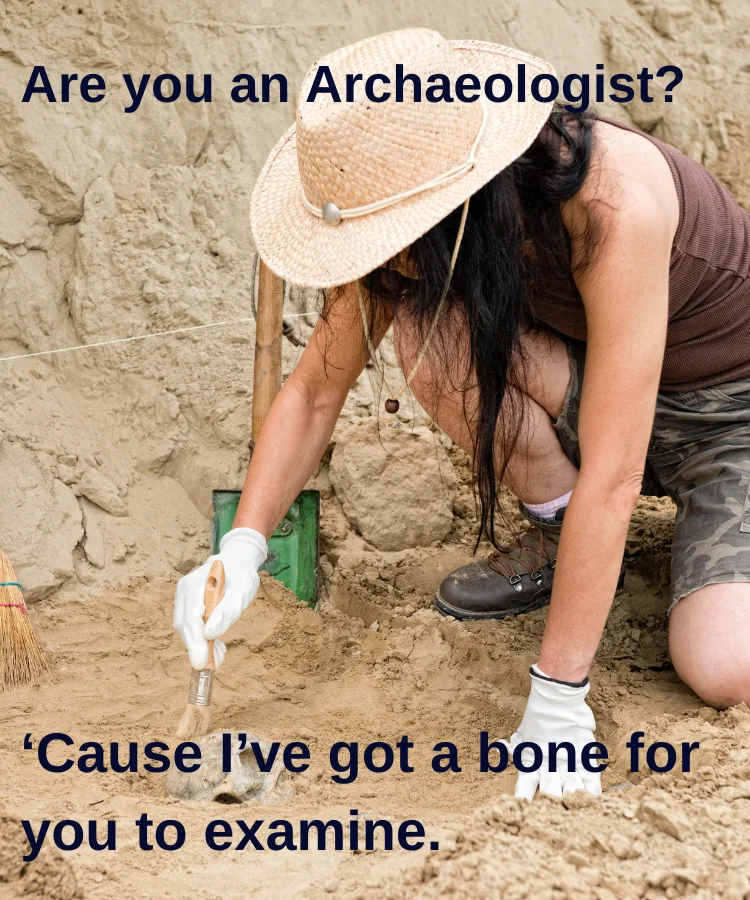 A person in a straw hat and gloves digs in the dirt with tools. Text reads: "Are you an Archaeologist? 'Cause I've got a bone for you to examine.