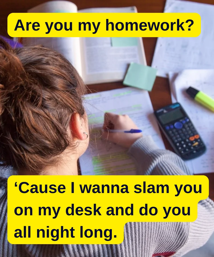 A girl doing her homework. The text reads: "Are you my homework? ‘Cause I wanna slam you on my desk and do you all night long.