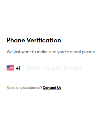 screenshot of raya's application form for phone verification